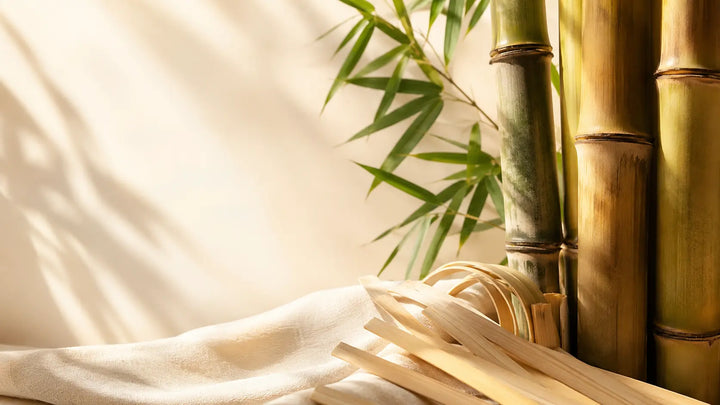 How Seasons and Sunlight Shape Bamboo Craft