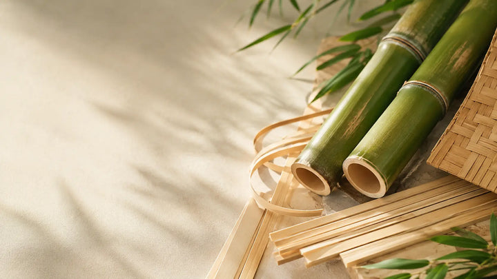 The Strength Behind Sustainable Luxury: Discovering the Mōsō Bamboo