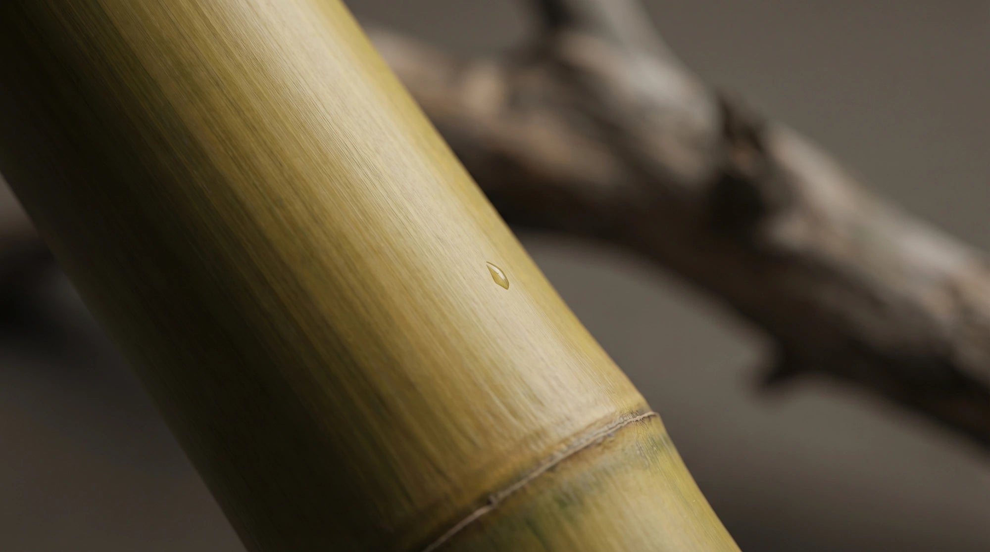 The Science of Strength: How We Weave Bamboo into Luxury